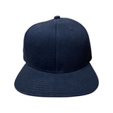 BLACK DIRECTORS SNAPBACK